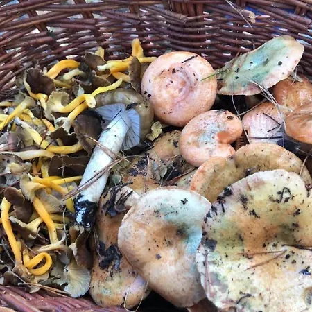 Casa Campole شقة *